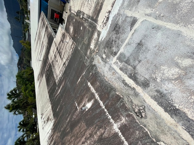 Professional Roof Cleaning in Kailua, Hawaii