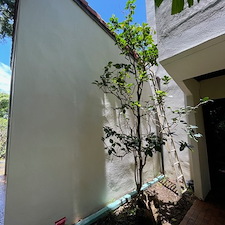 Remarkable-House-Wash-Transformation-in-Kaneohe-Hawaii 4